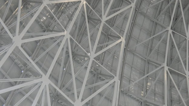 Hangar One [Credit: Steve Williams]