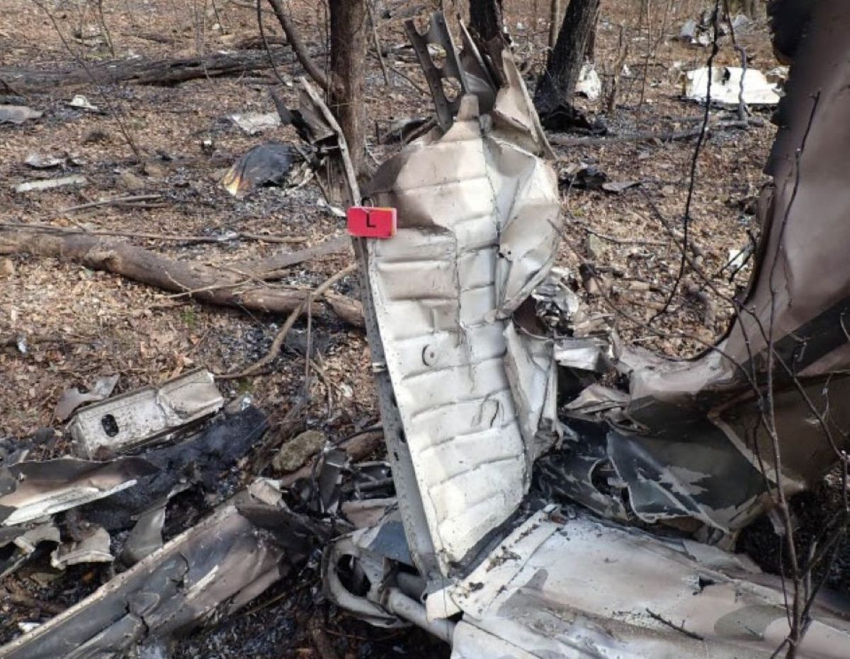 Wreckage of Jenny Blalock’s Beechcraft Debonair [Credit: National Transportation Safety Board]
