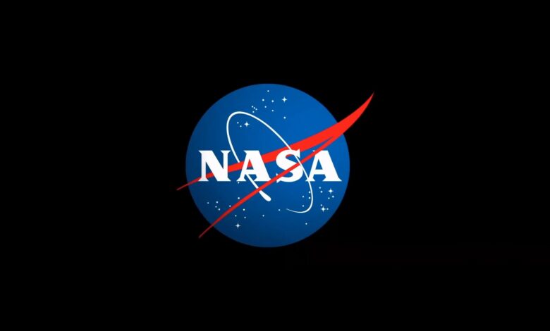 NASA meatball logo
