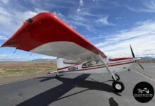 1981 Cessna 180K Skywagon [Credit: Hiller Aviation]